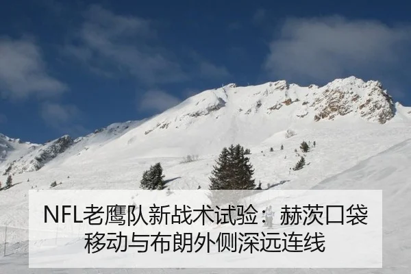 lao-ying-dui-xin-zhan-shu-shi-yan-he-ci-kou-dai-yi-dong-yu-bu-lang-wai-ce-shen-yuan-lian-xian-2-288.jpg