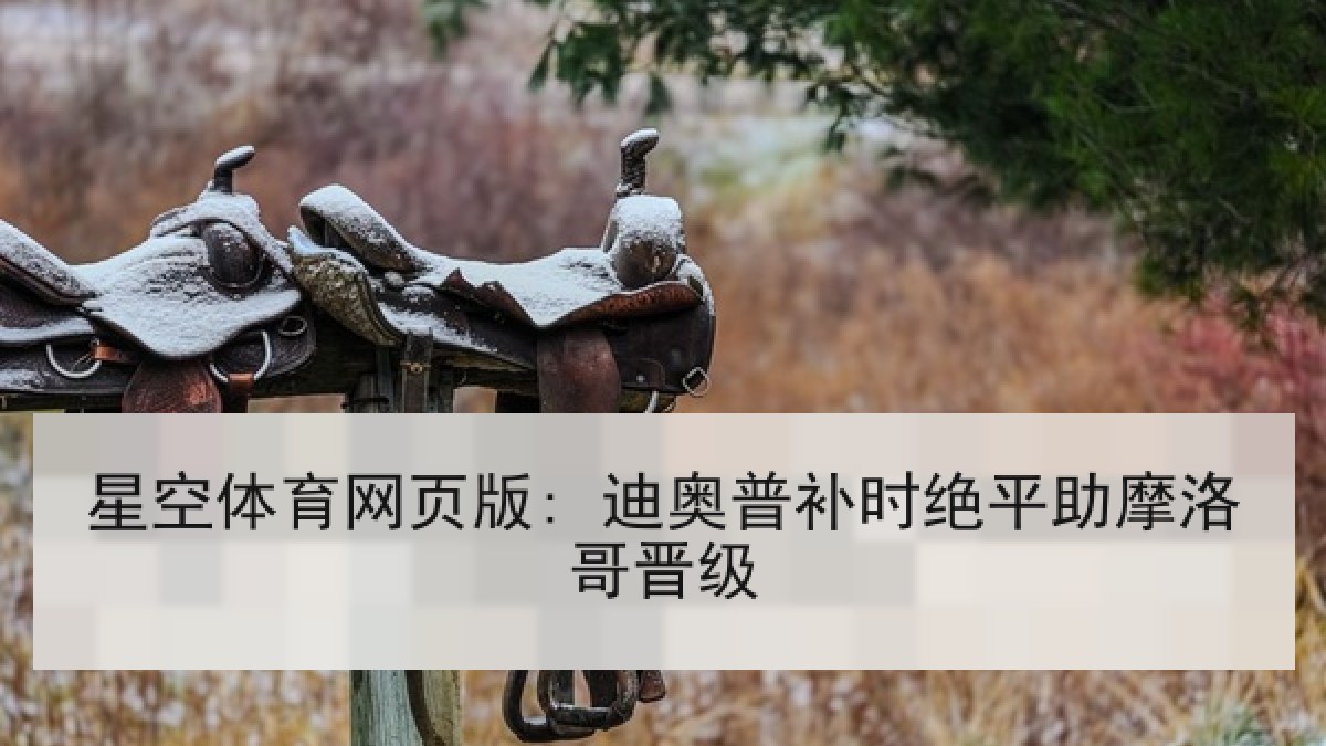 星空体育网页版: 迪奥普补时绝平助摩洛哥晋级