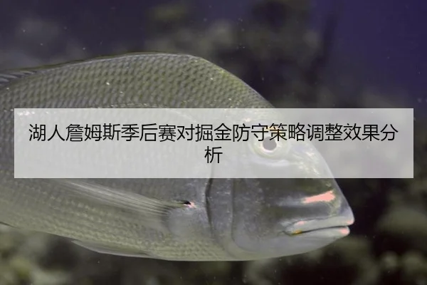 湖人詹姆斯季后赛对掘金防守策略调整效果分析