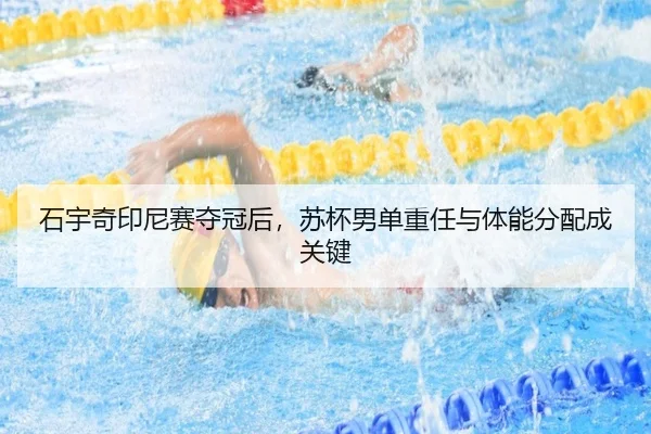 shi-yu-qi-yin-ni-sai-duo-guan-hou-su-bei-nan-dan-zhong-ren-yu-ti-neng-fen-pei-cheng-guan-jian-3-463.jpg