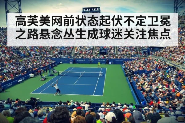 US Open tennis court